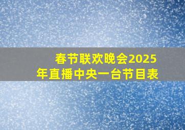 春节联欢晚会2025年直播中央一台节目表