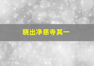 晓出净慈寺其一