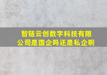 智链云创数字科技有限公司是国企吗还是私企啊