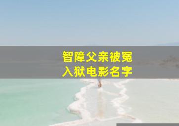 智障父亲被冤入狱电影名字