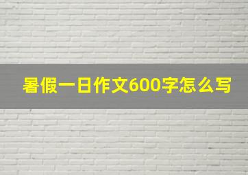 暑假一日作文600字怎么写