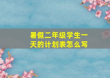 暑假二年级学生一天的计划表怎么写