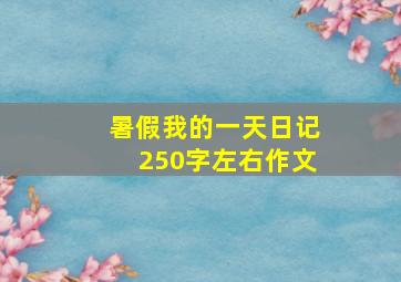 暑假我的一天日记250字左右作文