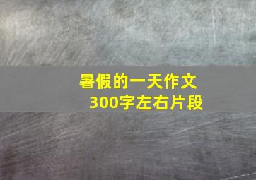 暑假的一天作文300字左右片段