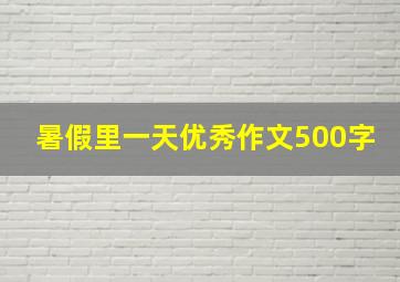 暑假里一天优秀作文500字