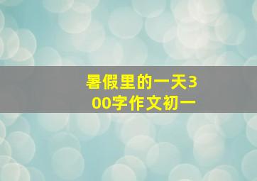 暑假里的一天300字作文初一