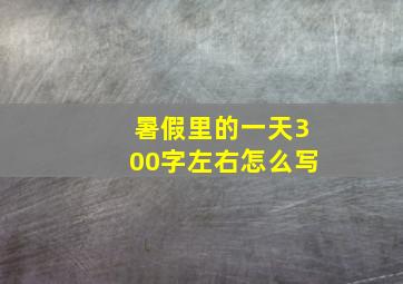 暑假里的一天300字左右怎么写