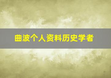 曲波个人资料历史学者