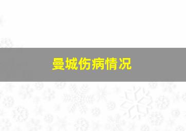 曼城伤病情况