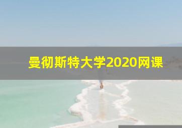 曼彻斯特大学2020网课