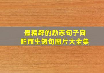 最精辟的励志句子向阳而生短句图片大全集