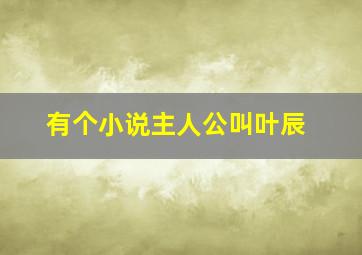 有个小说主人公叫叶辰