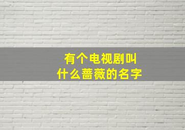 有个电视剧叫什么蔷薇的名字