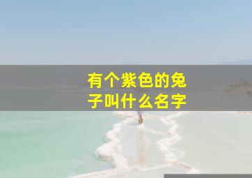 有个紫色的兔子叫什么名字