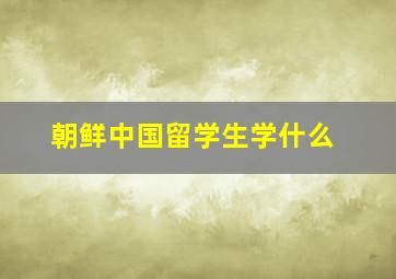 朝鲜中国留学生学什么