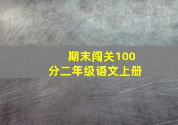 期末闯关100分二年级语文上册