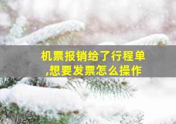 机票报销给了行程单,想要发票怎么操作