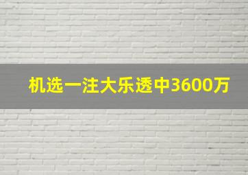 机选一注大乐透中3600万