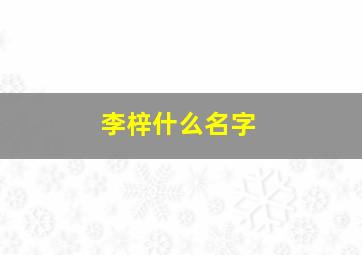 李梓什么名字