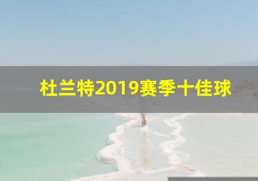 杜兰特2019赛季十佳球