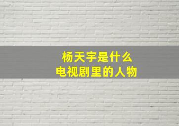 杨天宇是什么电视剧里的人物