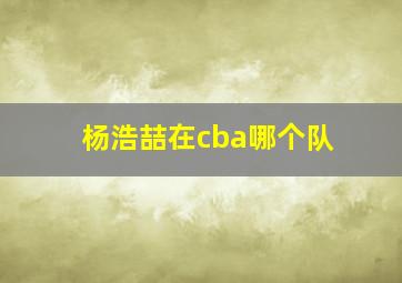 杨浩喆在cba哪个队