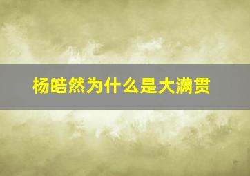 杨皓然为什么是大满贯