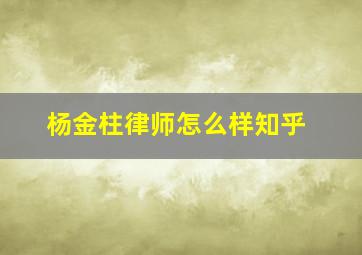 杨金柱律师怎么样知乎