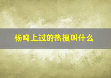 杨鸣上过的热搜叫什么