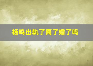 杨鸣出轨了离了婚了吗