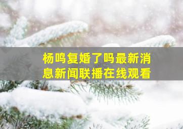 杨鸣复婚了吗最新消息新闻联播在线观看