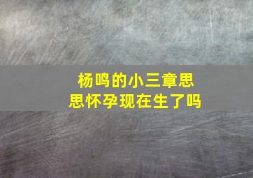 杨鸣的小三章思思怀孕现在生了吗