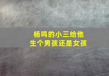 杨鸣的小三给他生个男孩还是女孩