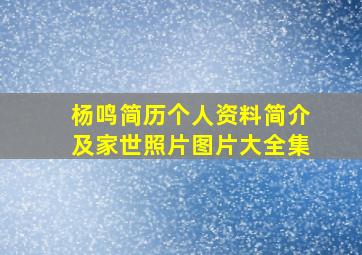 杨鸣简历个人资料简介及家世照片图片大全集