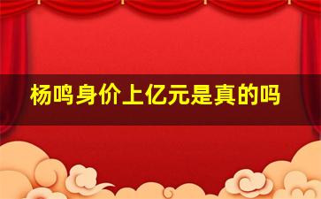 杨鸣身价上亿元是真的吗