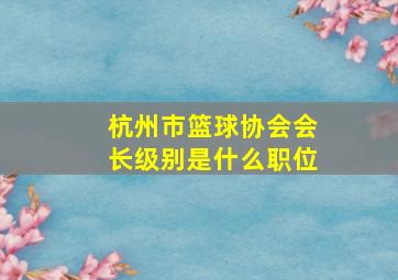 杭州市篮球协会会长级别是什么职位