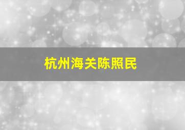 杭州海关陈照民