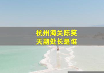 杭州海关陈笑天副处长是谁