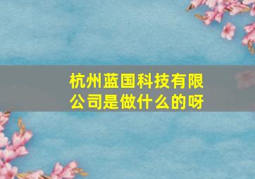 杭州蓝国科技有限公司是做什么的呀