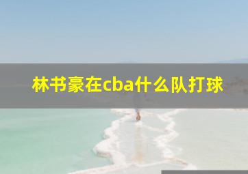 林书豪在cba什么队打球