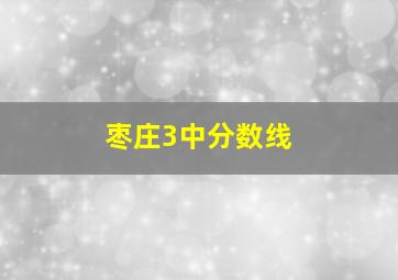 枣庄3中分数线