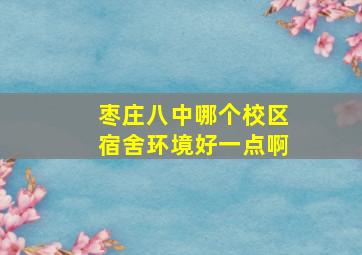 枣庄八中哪个校区宿舍环境好一点啊