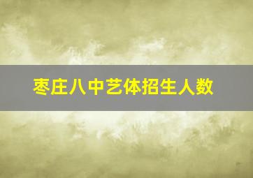 枣庄八中艺体招生人数