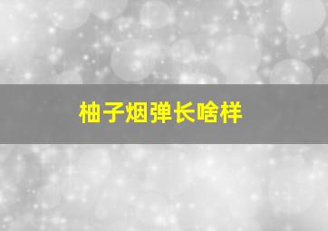 柚子烟弹长啥样