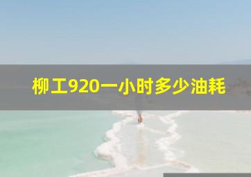 柳工920一小时多少油耗