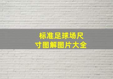 标准足球场尺寸图解图片大全