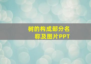 树的构成部分名称及图片PPT