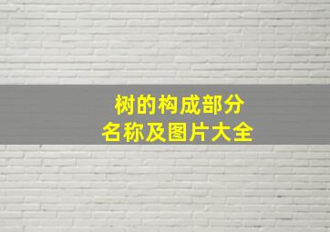 树的构成部分名称及图片大全