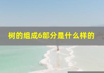 树的组成6部分是什么样的