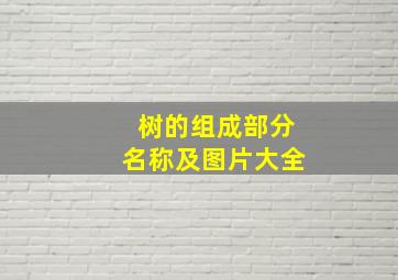 树的组成部分名称及图片大全